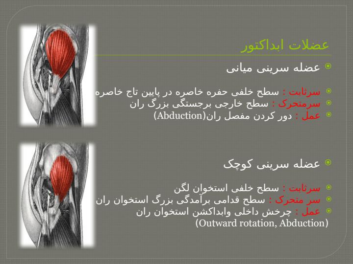 انحراف-جانبی-لگن6
