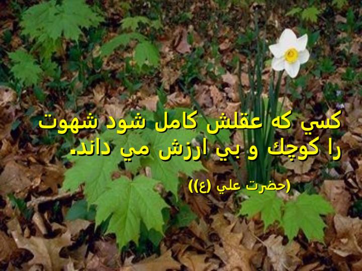 انحراف-جنسي2
