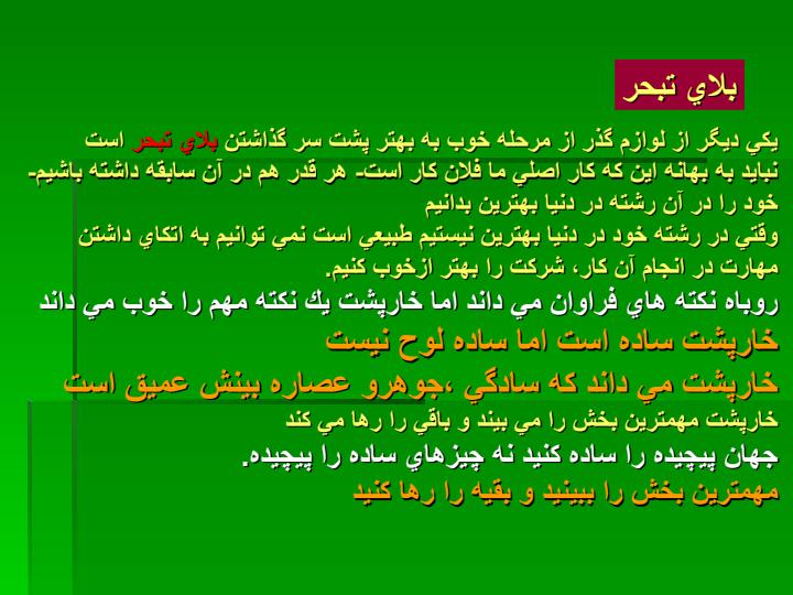 انگاره-خارپشت1