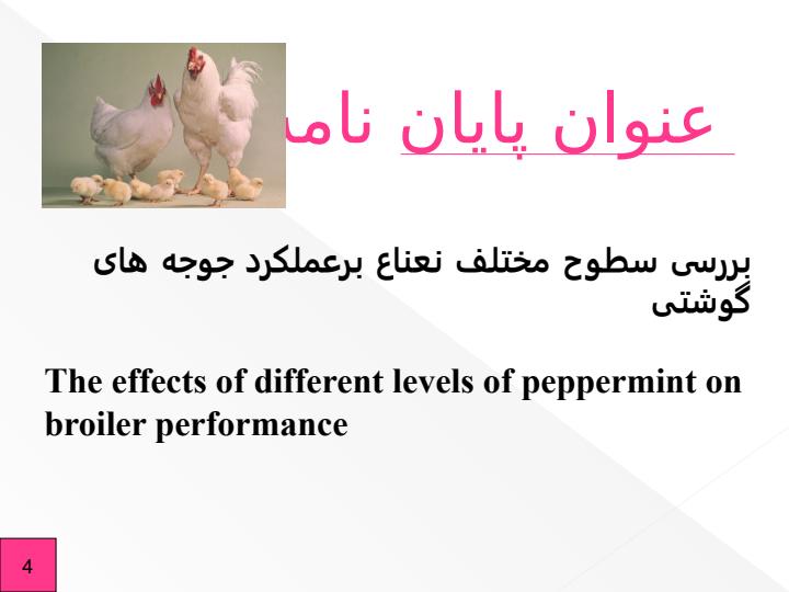 بررسی-سطوح-مختلف-نعناع-برعملکرد-جوجه-های-گوشتی3