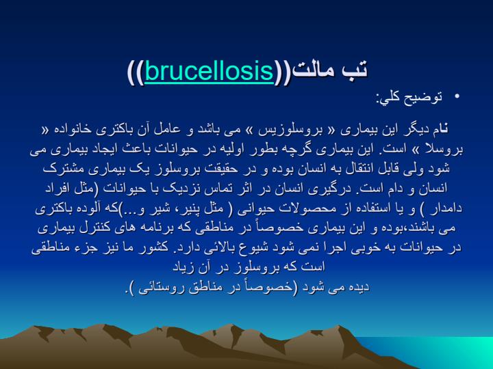 بروسلوز2