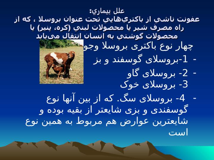 بروسلوز6