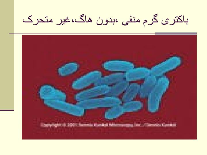 بروسلوزو-واکسن-سویه3