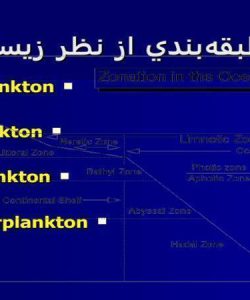 طبقه-بندي-پلانكتون