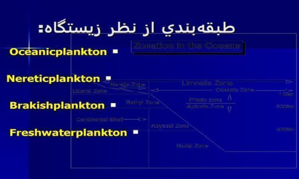 طبقه-بندي-پلانكتون