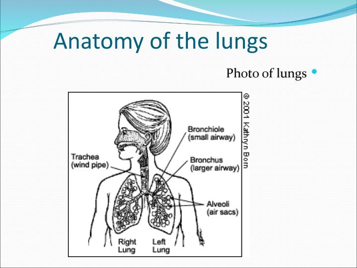 بیماریهای-مزمن-انسدادی-ریه-COPD5