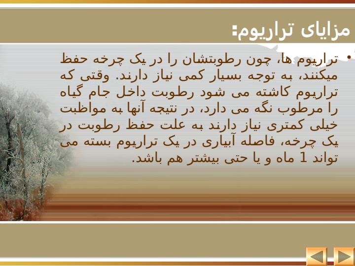تراریوم6