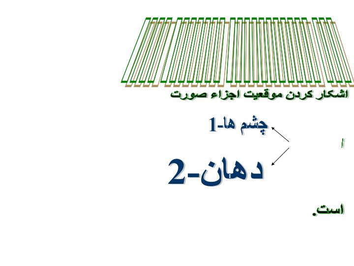 تصوير-ديجيتالي5