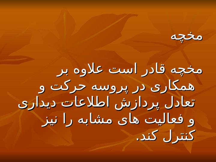 تعادل6