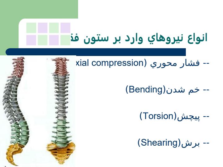 حركات-فيزيولوژيك-مهره-هاي-گردن1