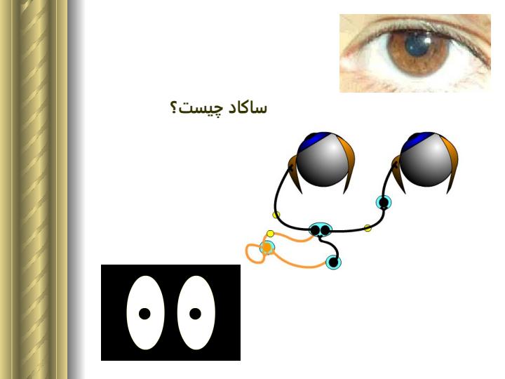 حرکت-ساکاديک-چشم-مدل-سازي-يادگيري-مخچه-اي-با-شبکه-هاي-عصبي-مصنوعي5