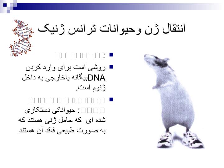 حیوانات-ترانس-ژنیک1