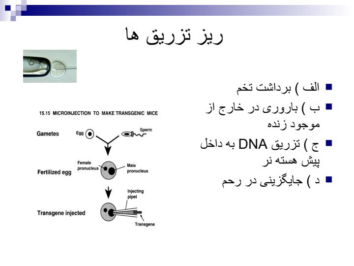 حیوانات-ترانس-ژنیک6