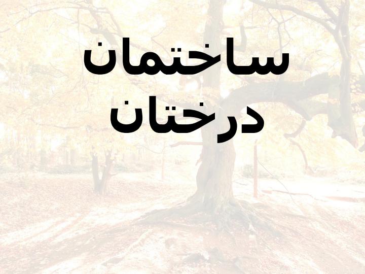 درختان1