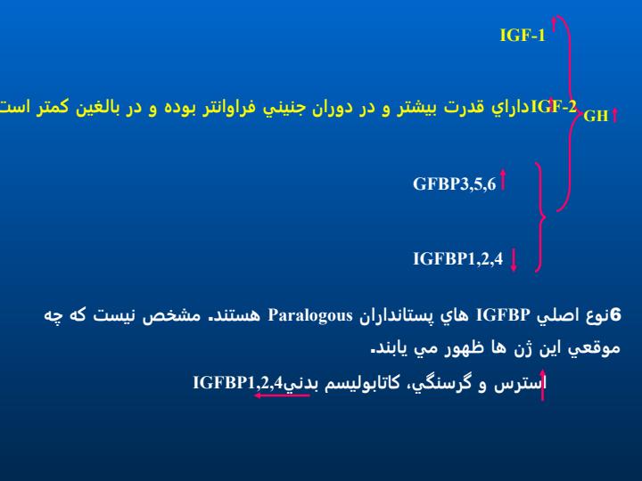 رشد-و-توسعه4