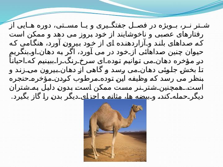 رفتار-شناسی-شتر4