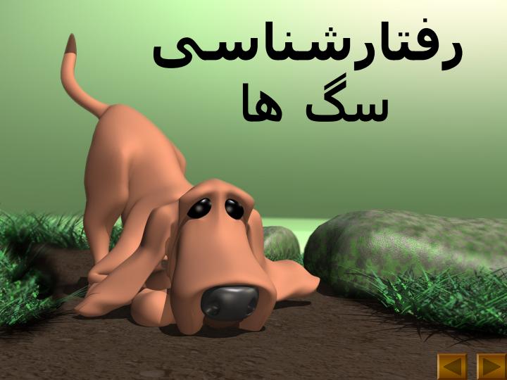 رفتارشناسی-سگ-ها1