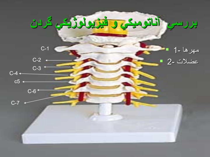 سر-به-جلو2