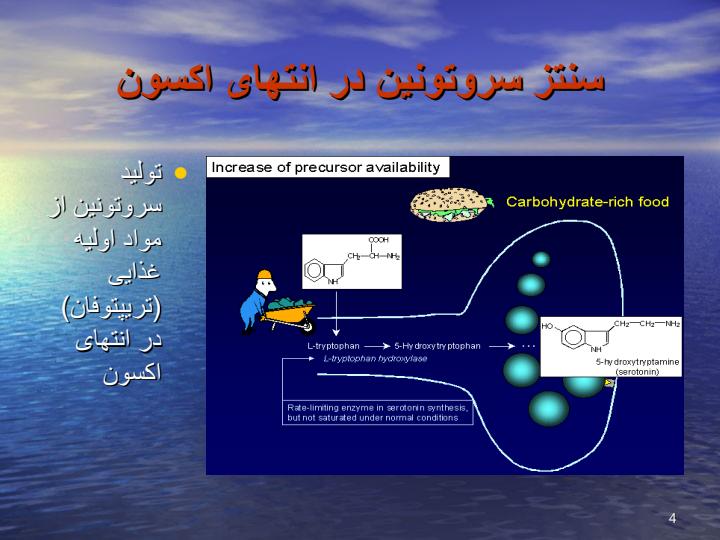 سروتین-در-انسان3