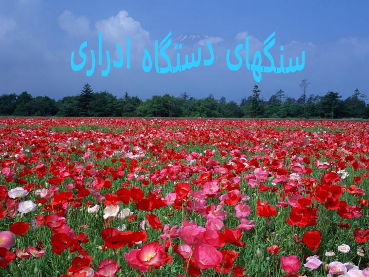 سنگ-های-دستگاه-ادراری1