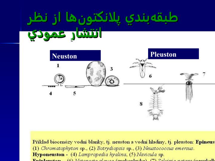 طبقه-بندي-پلانكتون3