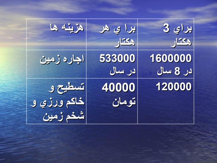 طرح-كارآفريني-كشت-زعفران6
