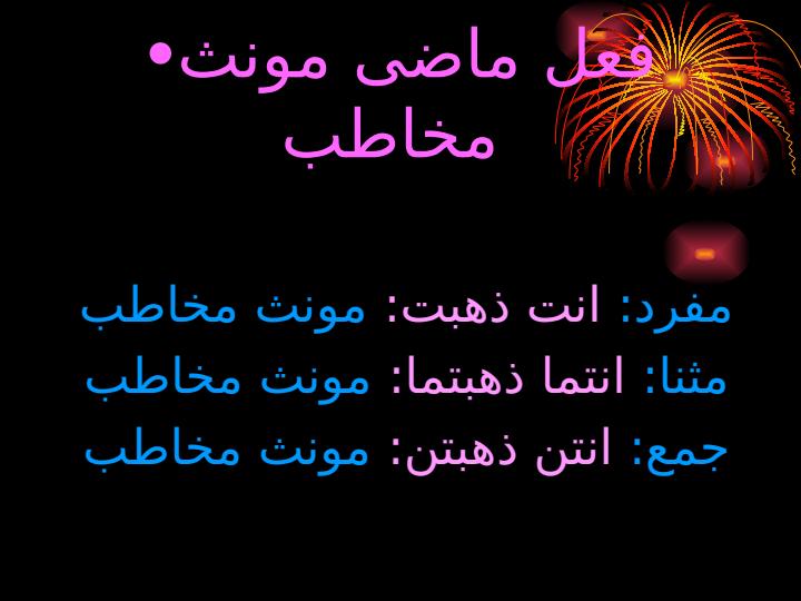 علامت-شناسی-فعل-ماضی-با-ضمایر3