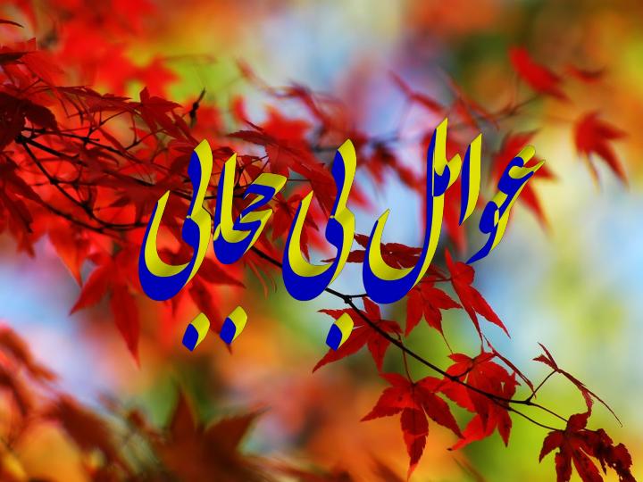 عوامل-بي-حجابي1