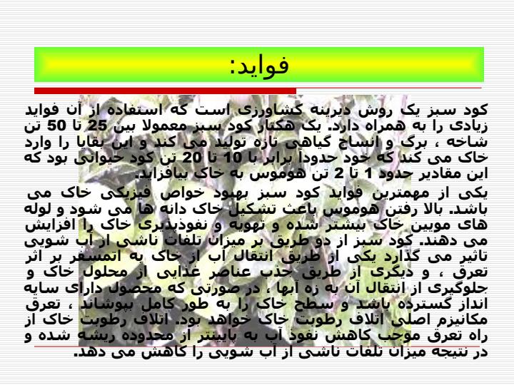 كودهاي-عالي-گياهان-سبز3