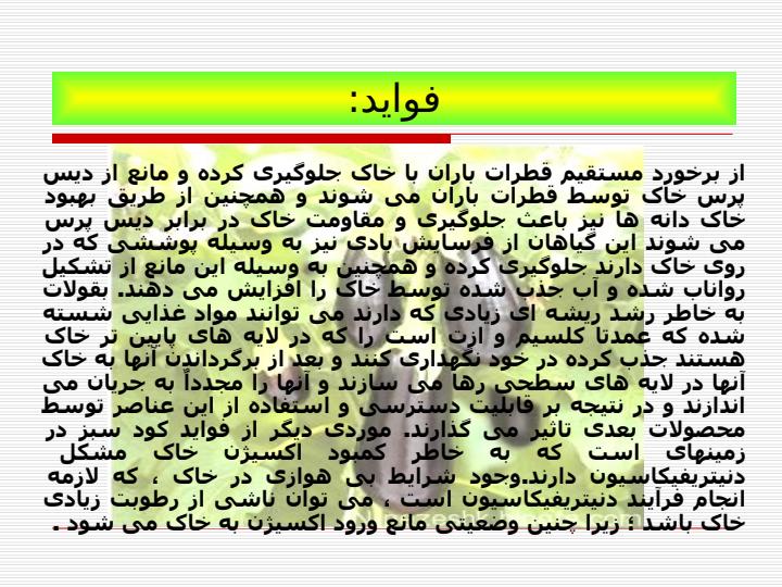 كودهاي-عالي-گياهان-سبز4
