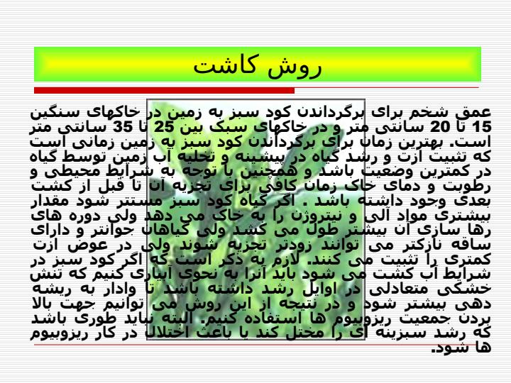 كودهاي-عالي-گياهان-سبز6