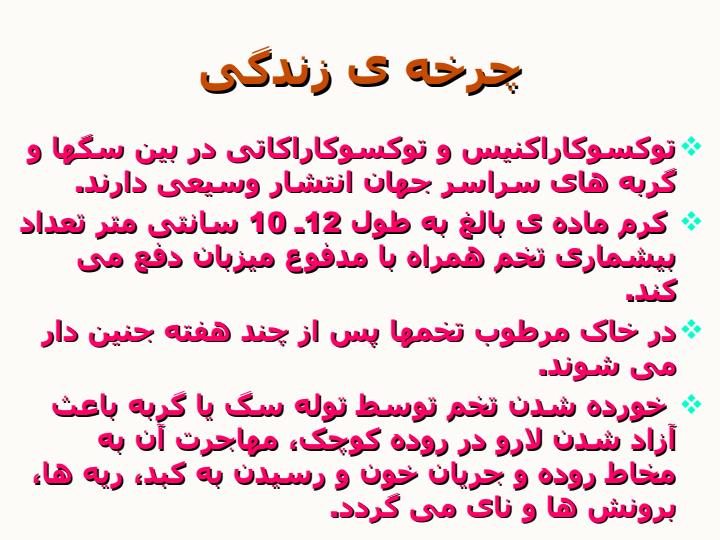 لارو-مهاجر-احشایی-و-التهاب-داخل-چشم-نماتودی1