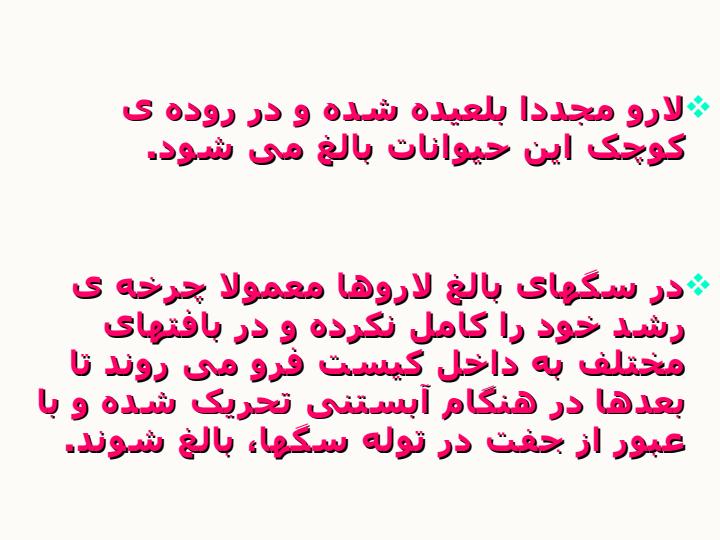 لارو-مهاجر-احشایی-و-التهاب-داخل-چشم-نماتودی2