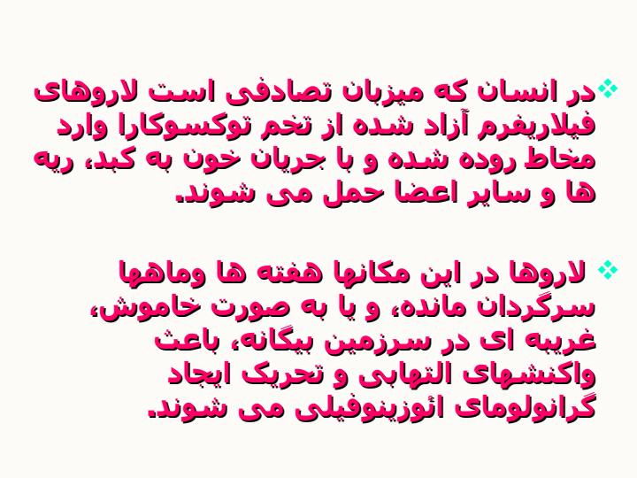 لارو-مهاجر-احشایی-و-التهاب-داخل-چشم-نماتودی3
