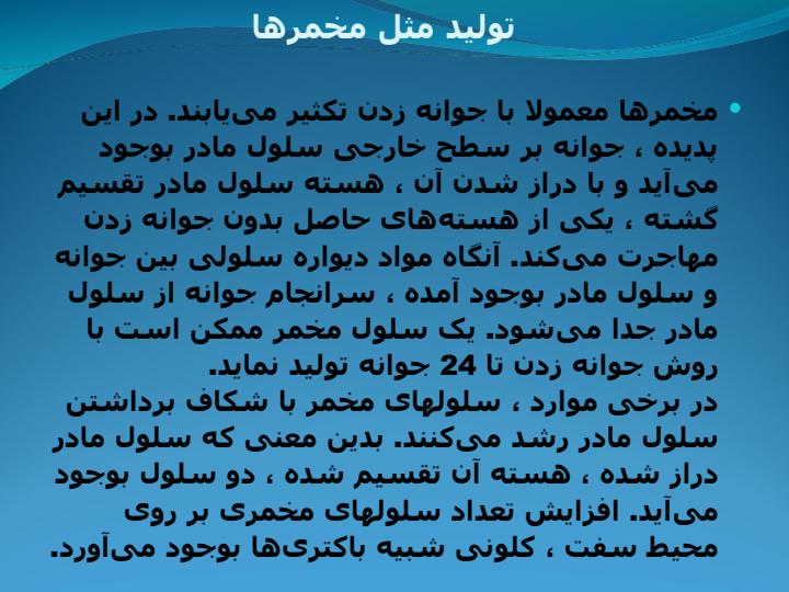 مخمرها2