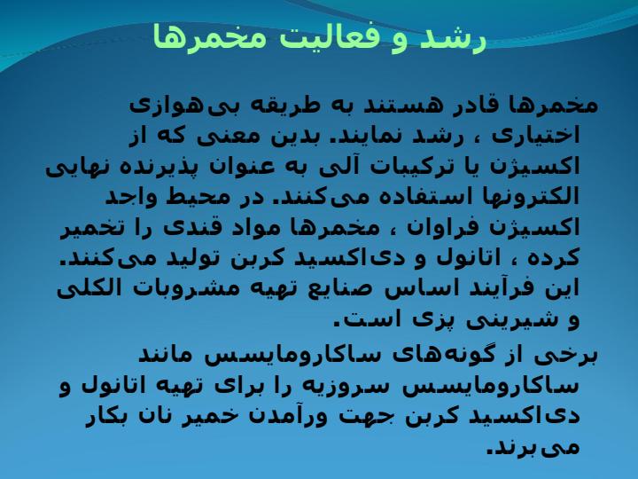 مخمرها3