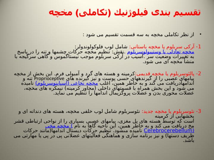 مخچه3