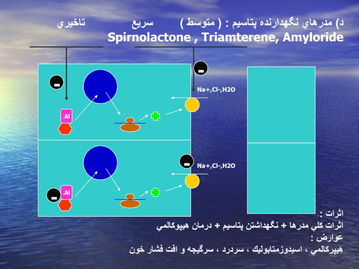 مدرها4