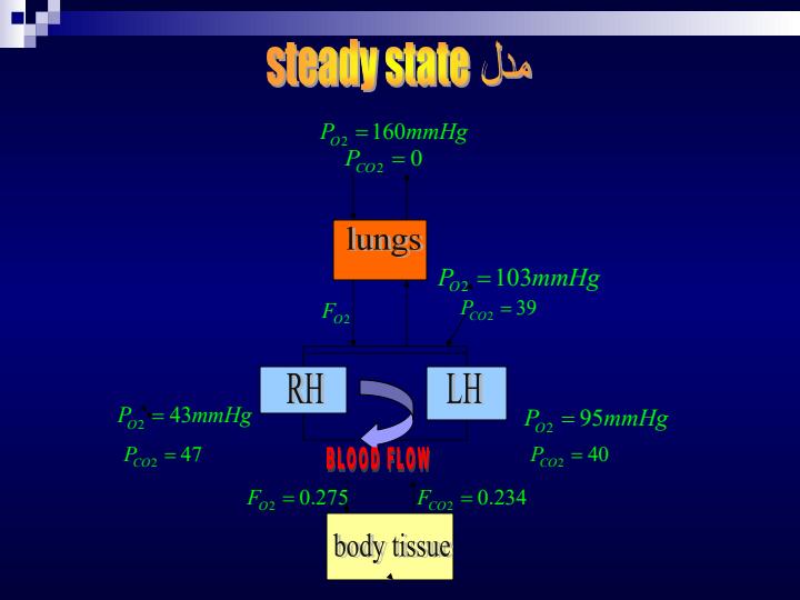 مدلسازي-سيستم-هاي-بيو-لوژيکي6