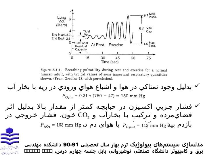 مدلسازی-سيستم-تنفسي6