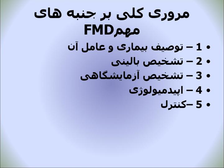 مرض-پا-و-دهان2