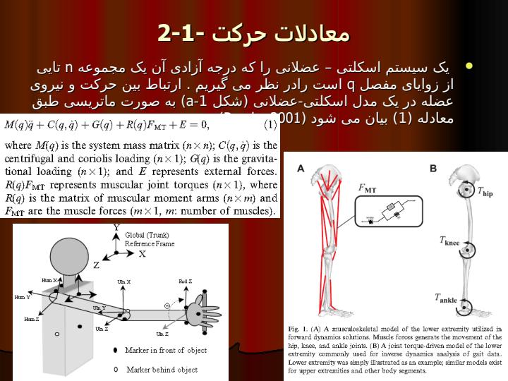 مروری-بر-تخمین-نیروی-عضلات-در-هنگام-حرکت-بر-پایه-مدل6