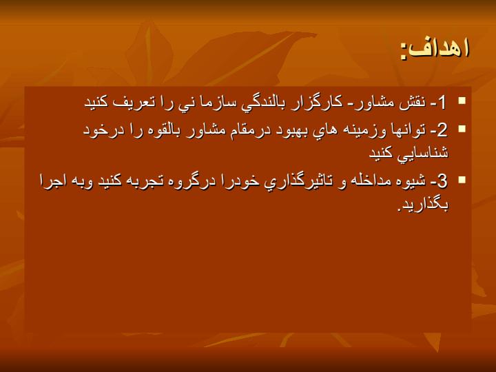 مشاور-بالندگي-سازمان-نقش-و-روش1