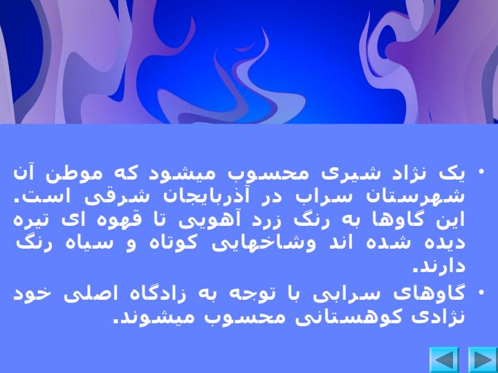 معرفي-نژادهاي-گاوهاي-بومي-ايران3