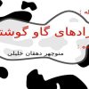 در-مورد-نژادهای-گاو-گوشتی-که-مشهور-نیستند