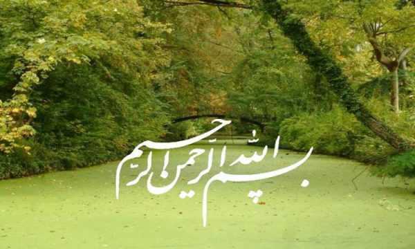 تومورهاي-هيپوفيز