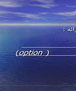 ارزيابي-و-صدور-اختيارات-option