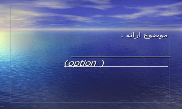 ارزيابي-و-صدور-اختيارات-option