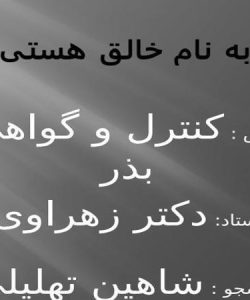 کنترل-و-گواهی-بذر