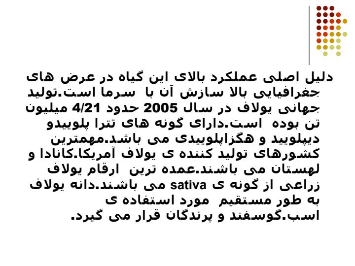 يولاف2